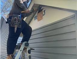 Best Steel Siding Installation  in Nyon Lake, CA